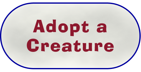 Adopt a Creature