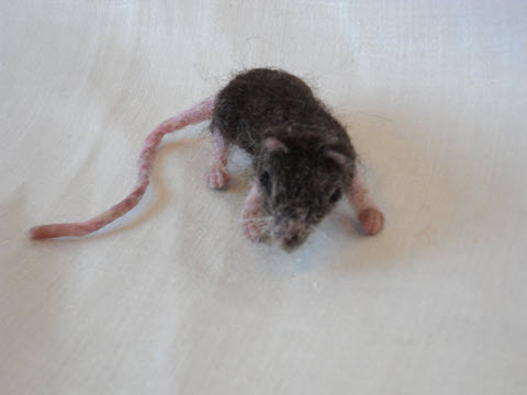 Mouse Pet 17—Unshaved