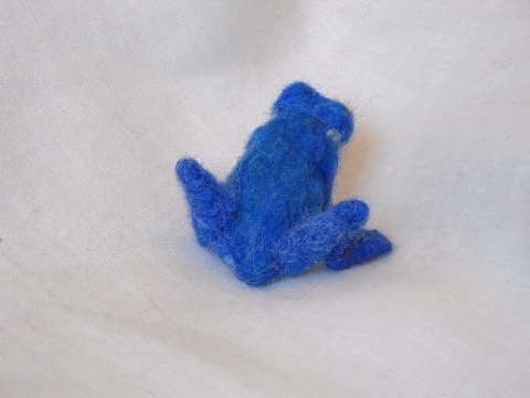 Blue Frog—Back