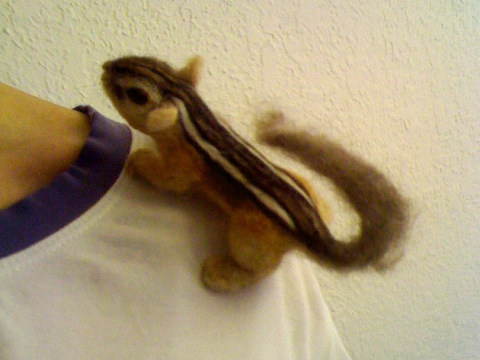 Chipmunk 2, with her person...