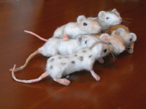 Mouse Litter 8: Vanilla Chimerae