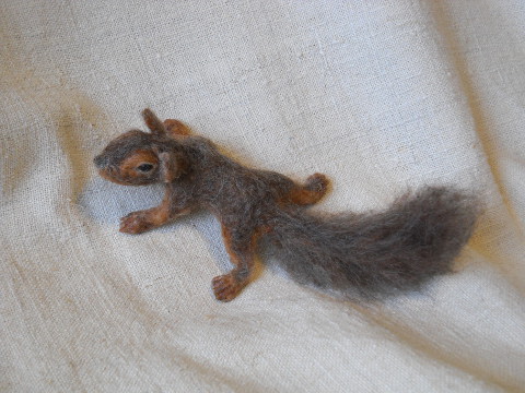 Hat Squirrel