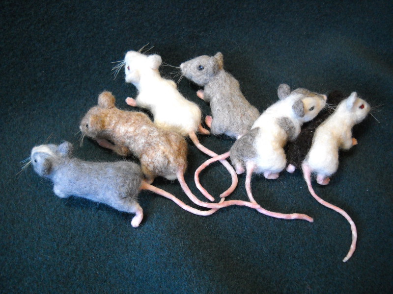 Mouse Litter 12: Mixed-Up Mice