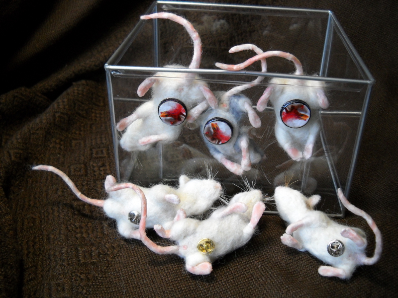 Mouse Litter 14 – The Long Drawn-Out Mice