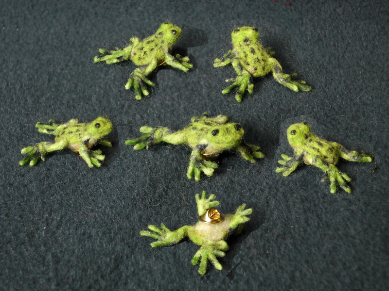 Walkabout Froggie #9