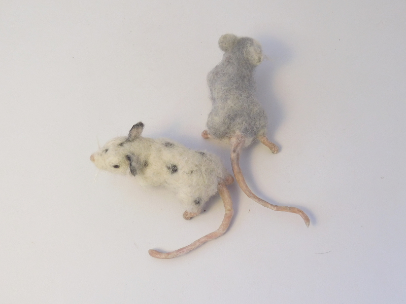 Mouse Litter 16 – Tail Update