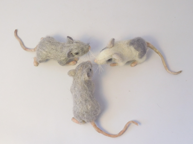 Mouse Litter 17 – Tail Update