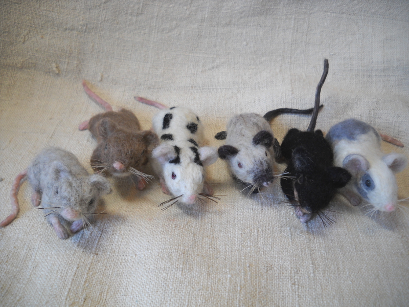 Mouse Litter 17 – The Truly Fancy Mice