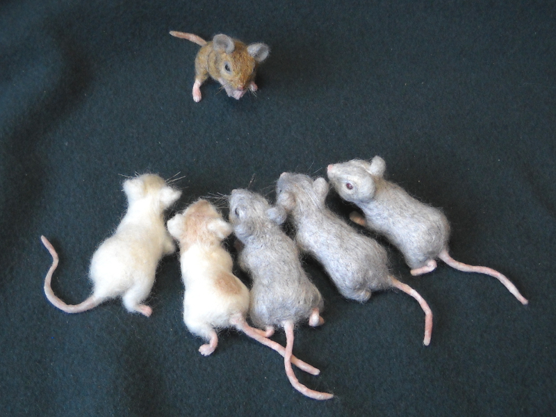 Mouse Litter 18 – Mice at War
