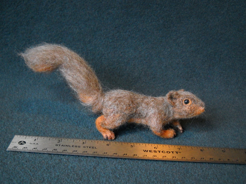 Fox Squirrel 3 – Before Re-Tail