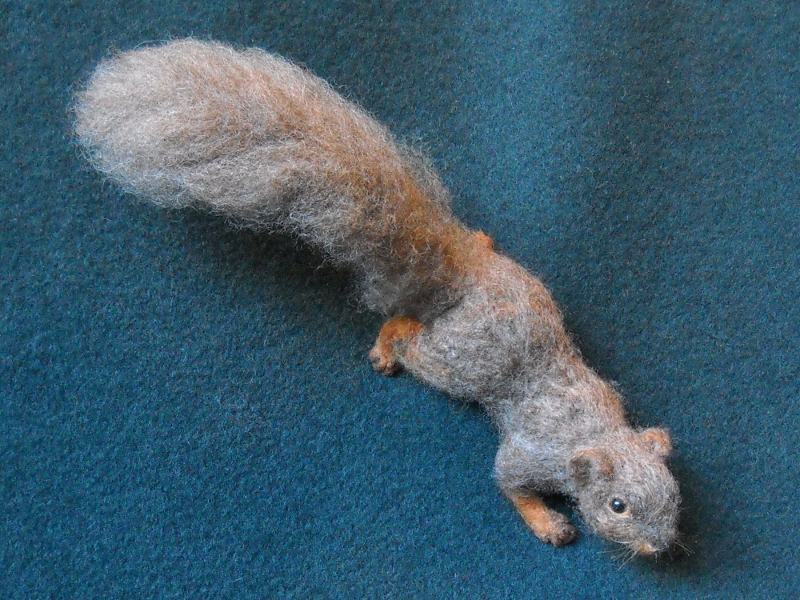 Fox Squirrel 3