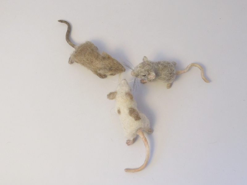 Mouse Litter 20 – Tail Update