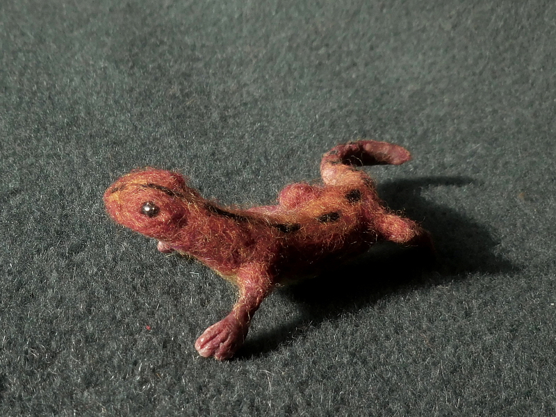 Jethro’s Salamander