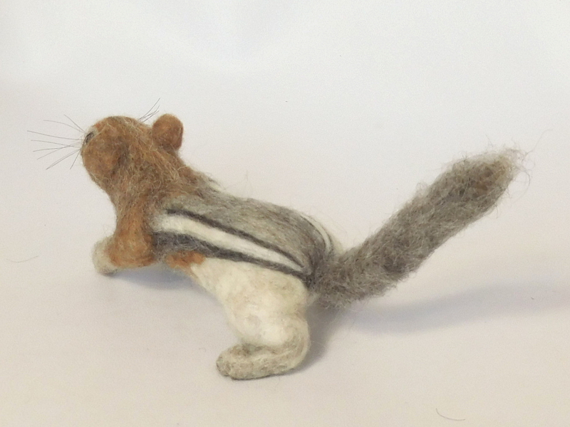 Golden-mantled Ground Squirrel 2