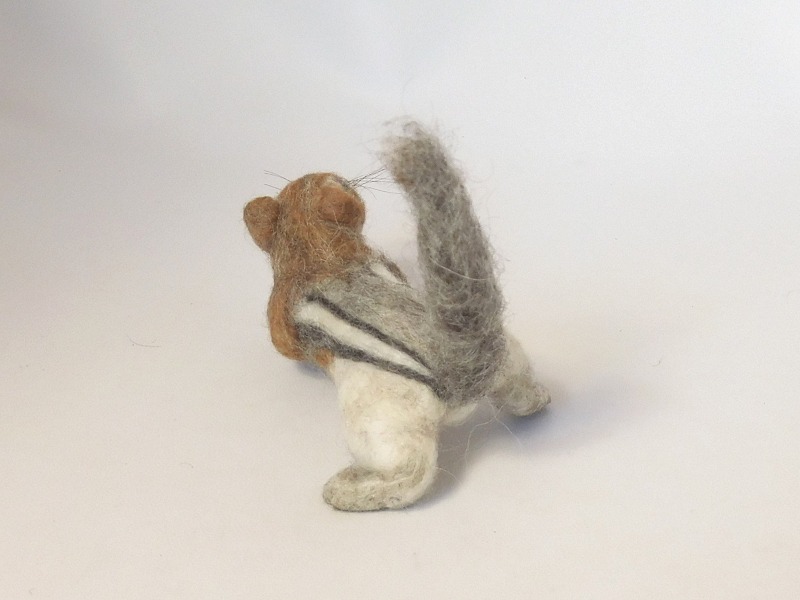 Golden-mantled Ground Squirrel 2