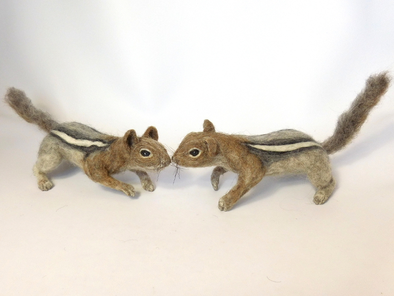Golden-mantled Ground Squirrels 3 & 4
