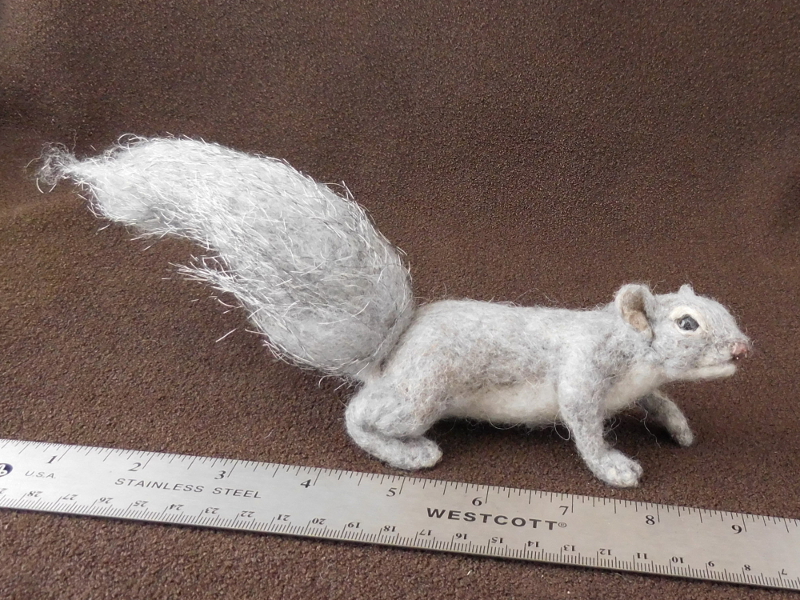 Gray Squirrel – Silktail 2