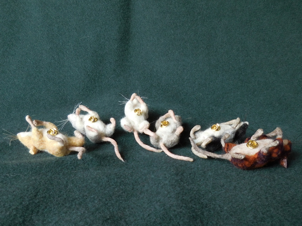 Mouse Litter 24: Pin Girls and Cousin