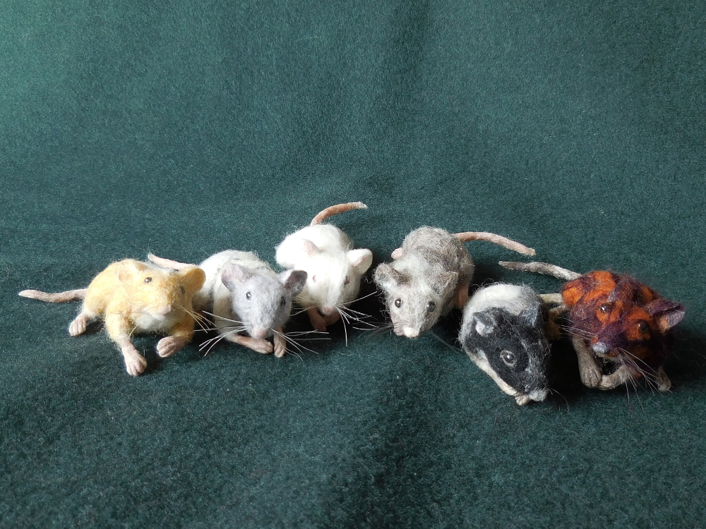Mouse Litter 24: Pin Girls and Cousin