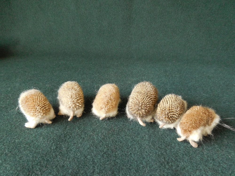 Yet More Hedgehogs