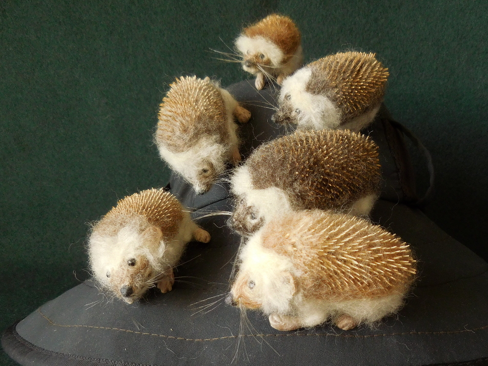Hat full of Hedgehogs