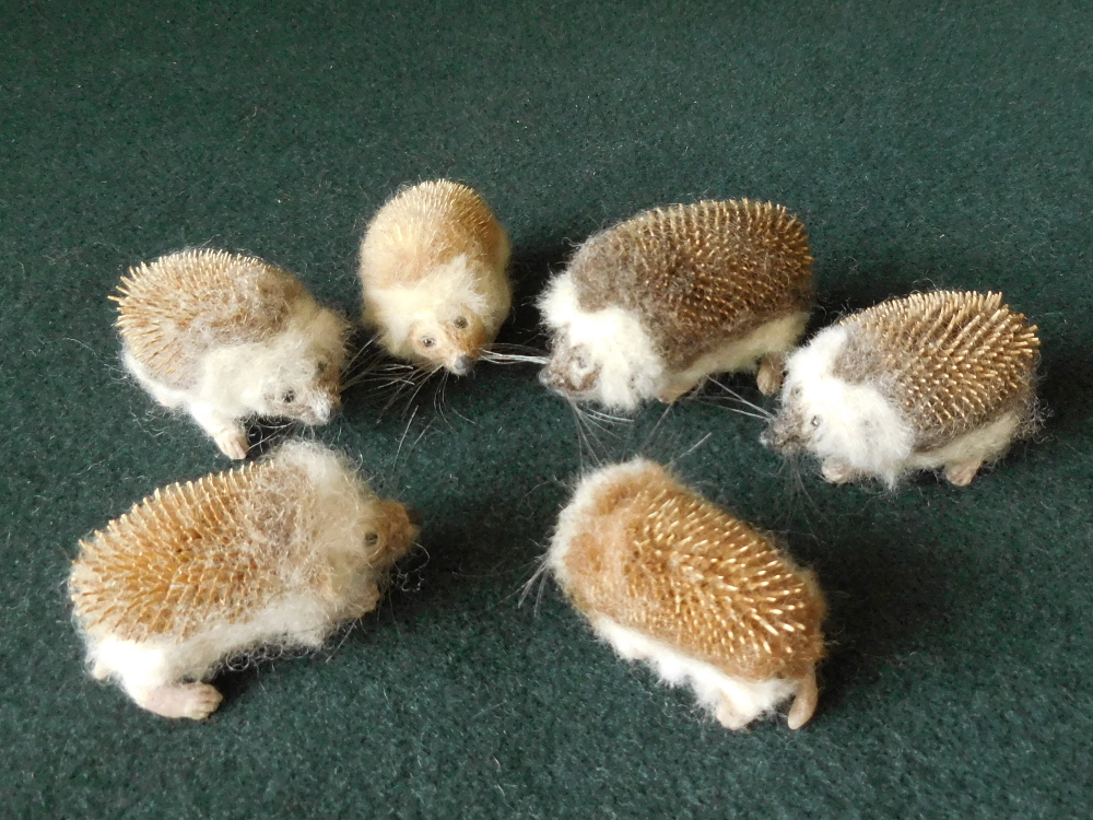 Hedgehog Meeting