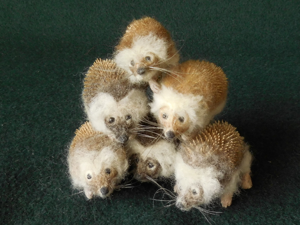 Yet More Hedgehogs
