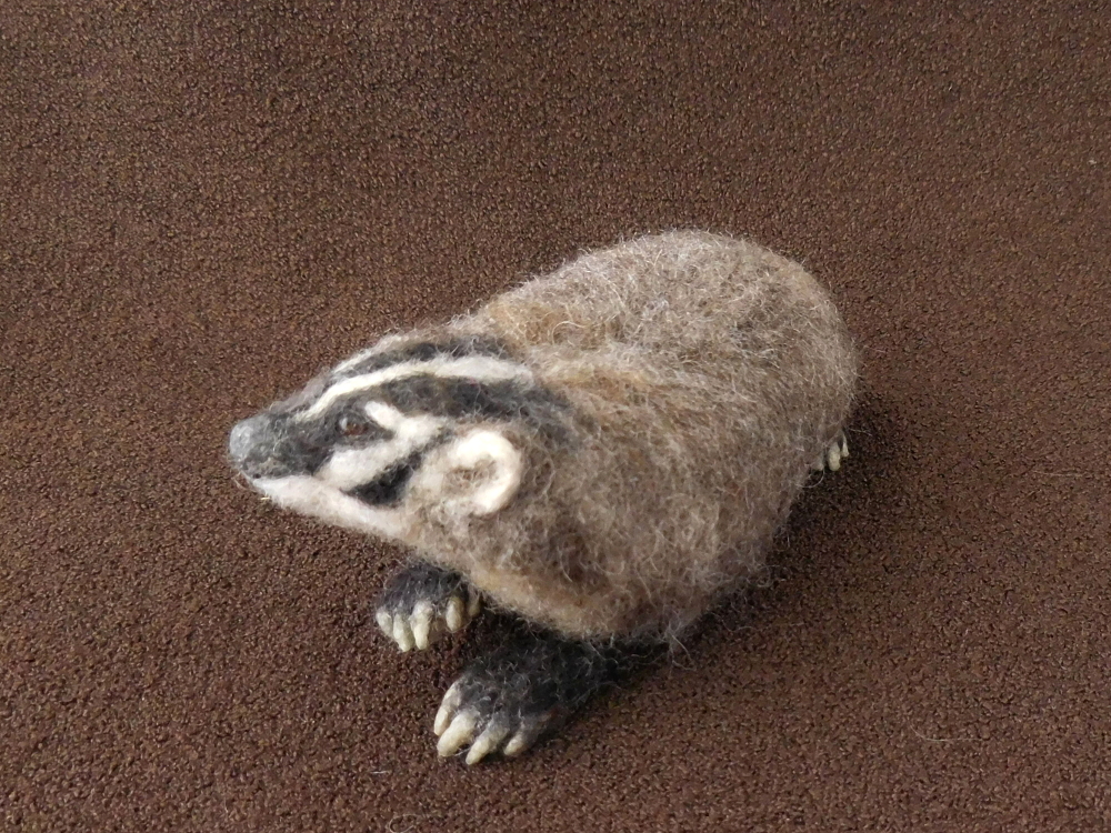 American Badger 2