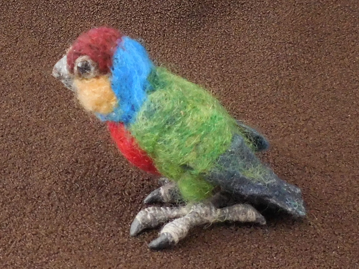 Red-breasted Pygmy Parrot 4