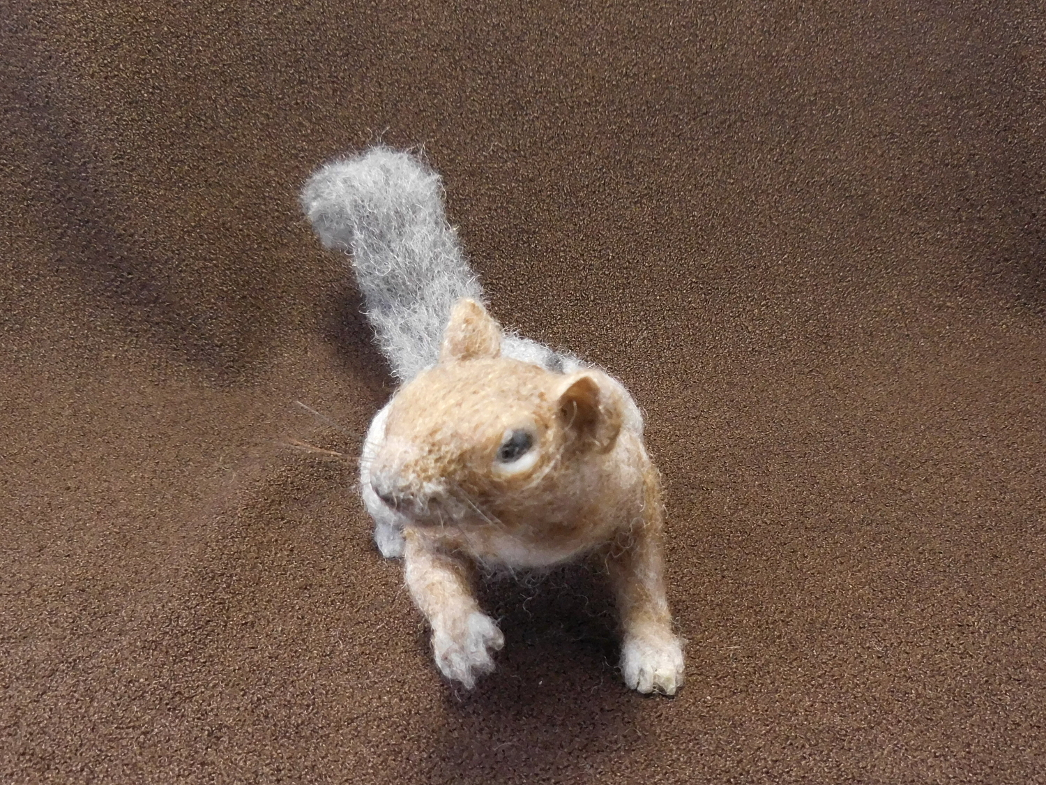 Golden-mantled Ground Squirrel 4