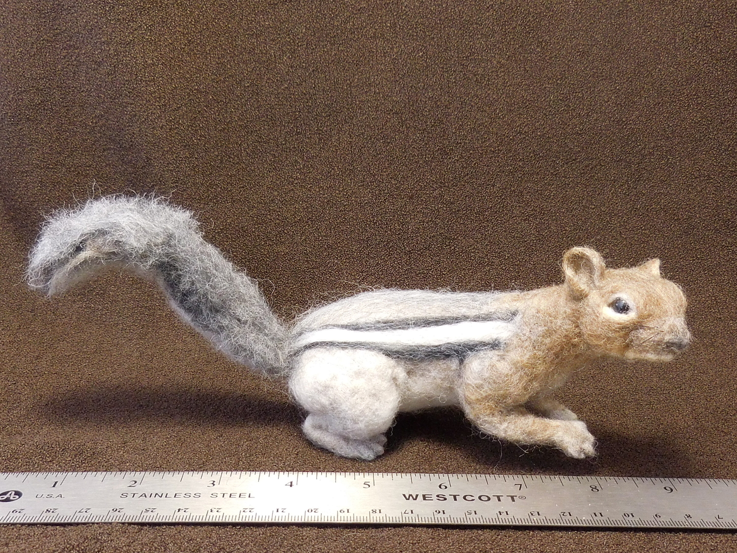 Golden-mantled Ground Squirrel 4