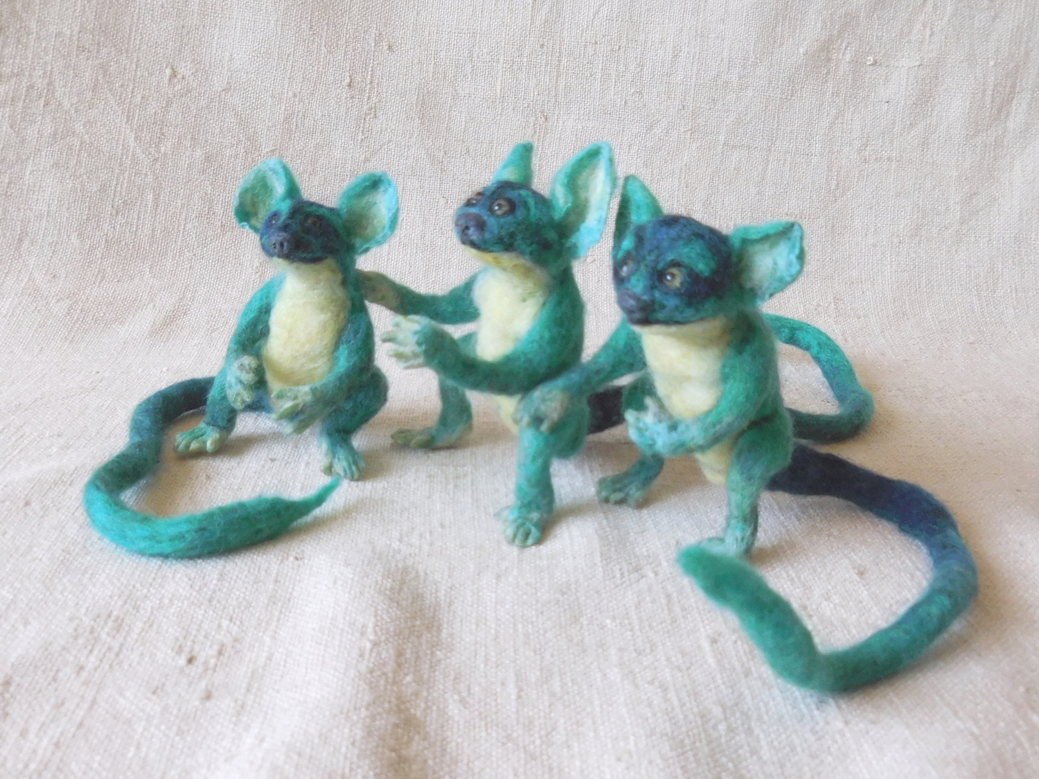 Blue Loris Youngsters