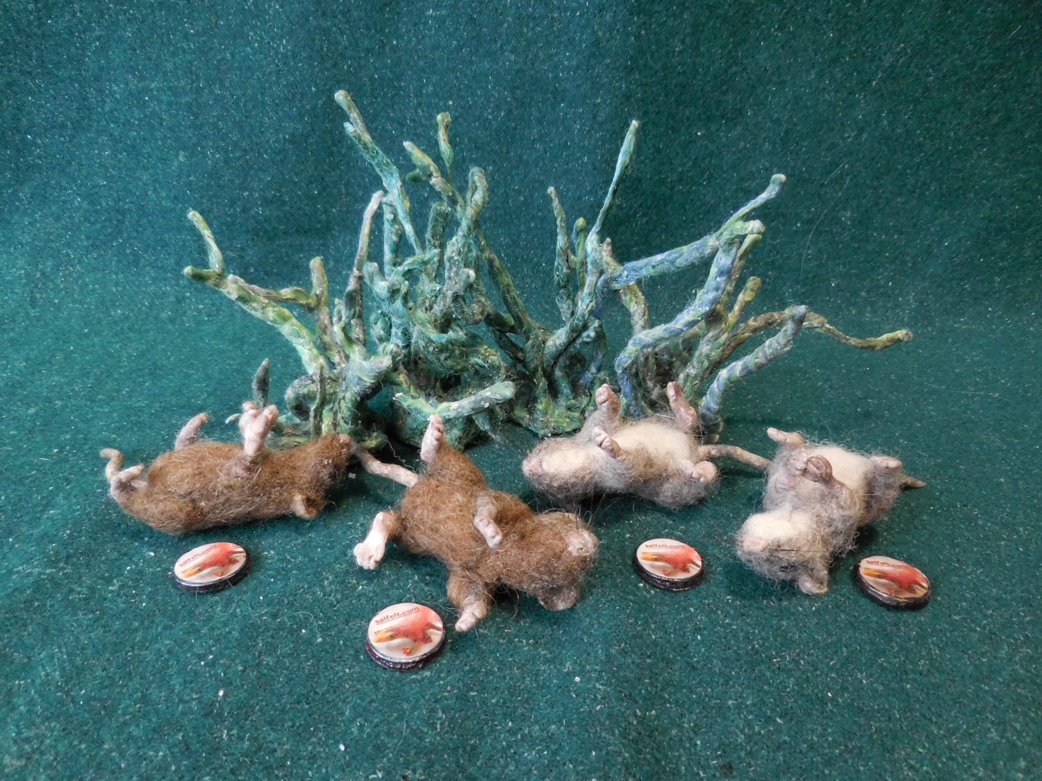 Salt Marsh Harvest Mice