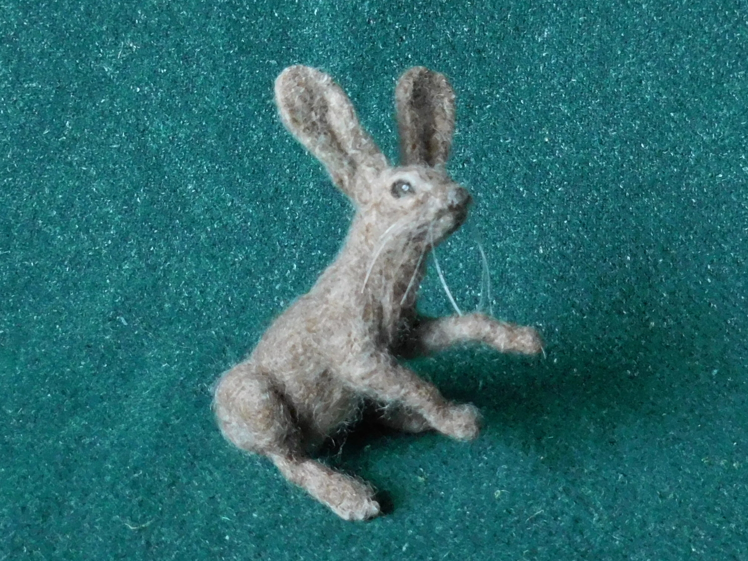 Hare 3