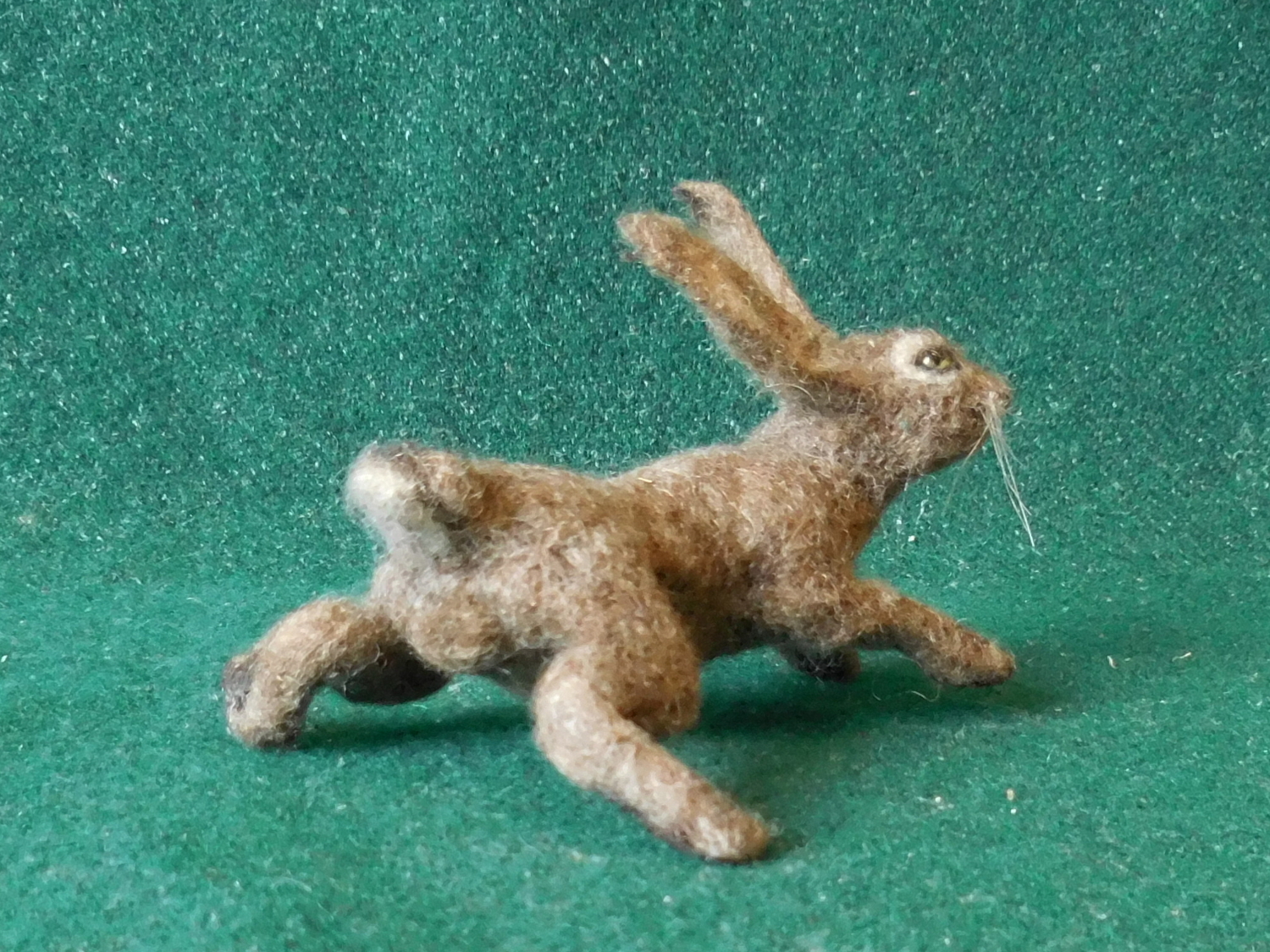 Hare 4