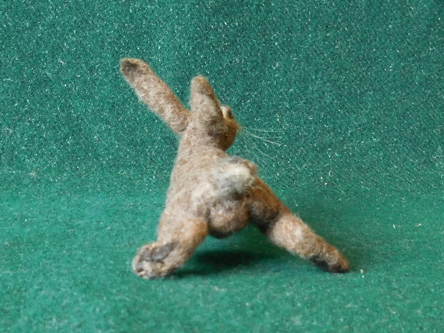 Hare 4