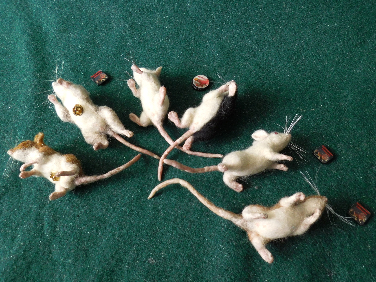 Mouse Litter 25 – Back from the Edge