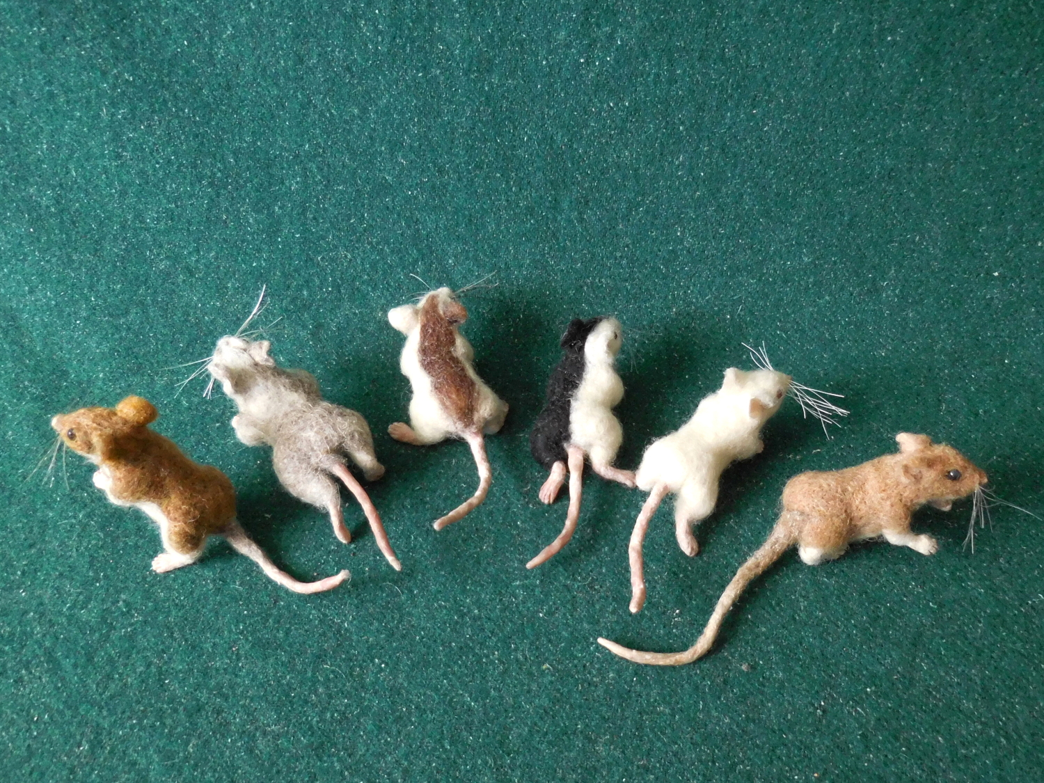 Mouse Litter 25 – Back from the Edge