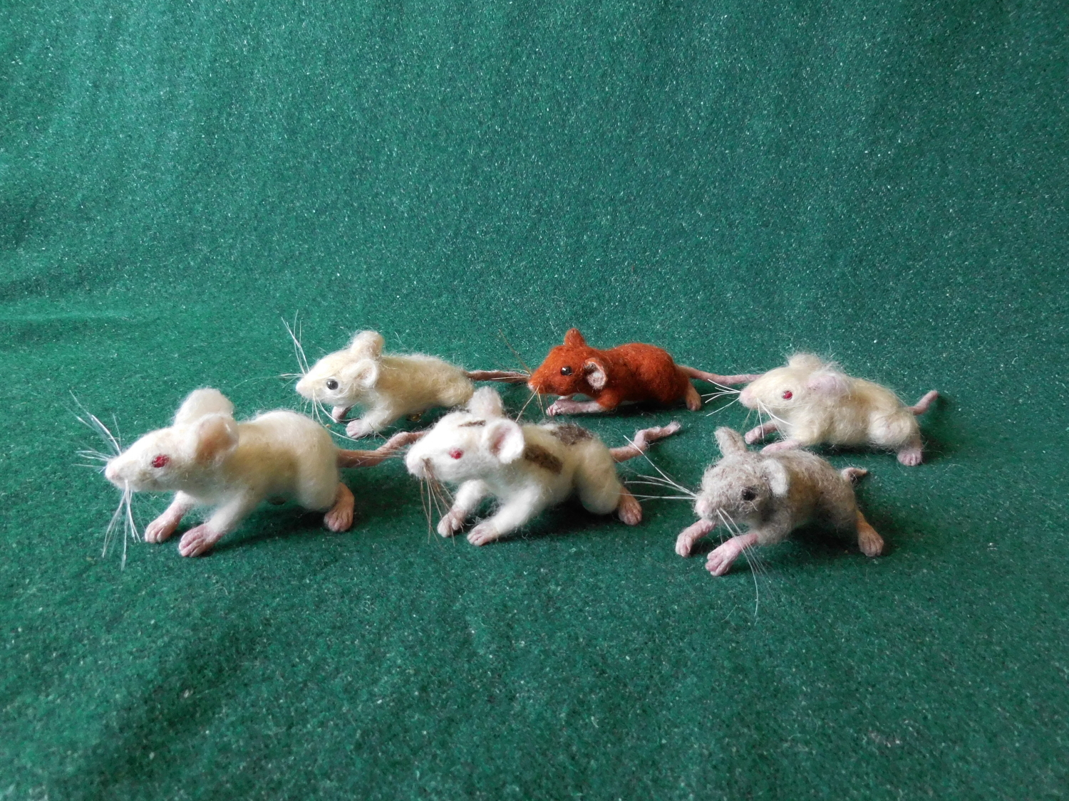 Mouse Litter 26 – More Mice