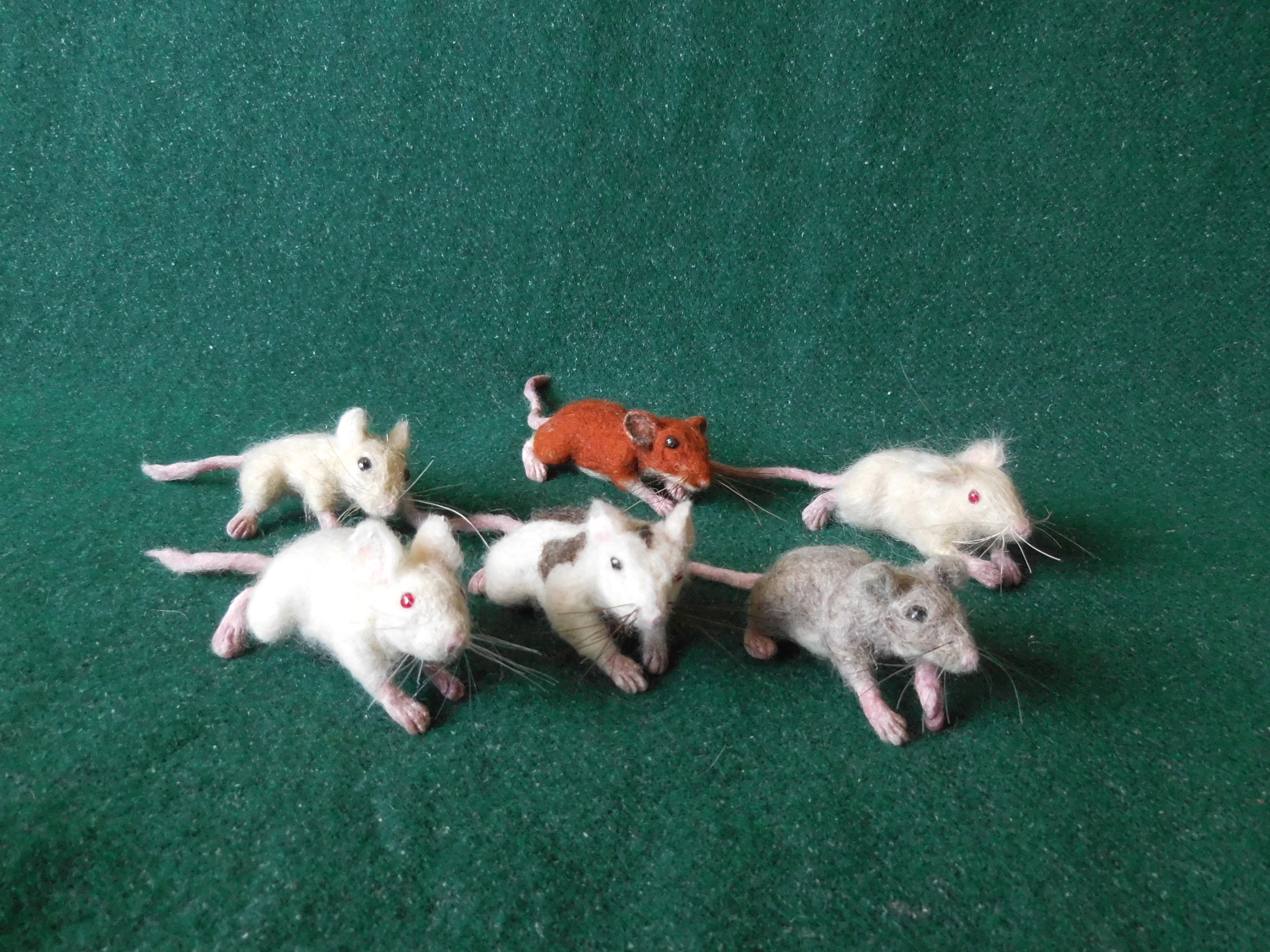 Mouse Litter 26 – More Mice