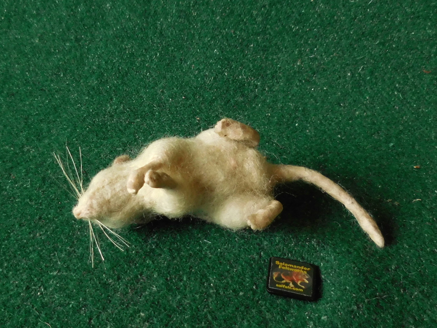 Perdido Key Beach Mouse