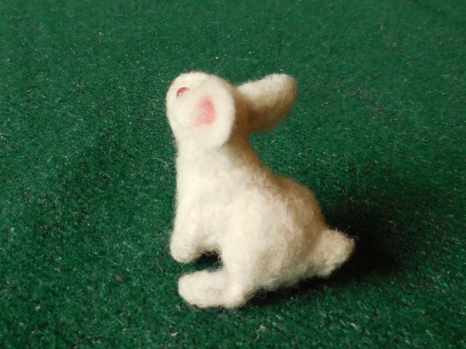 Bunny-Wabbit