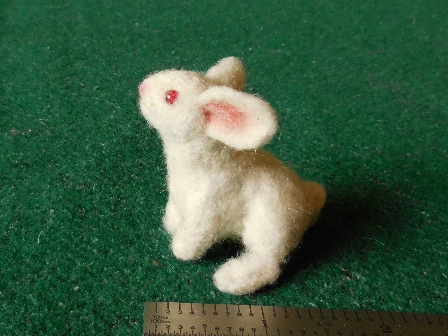 Bunny-Wabbit