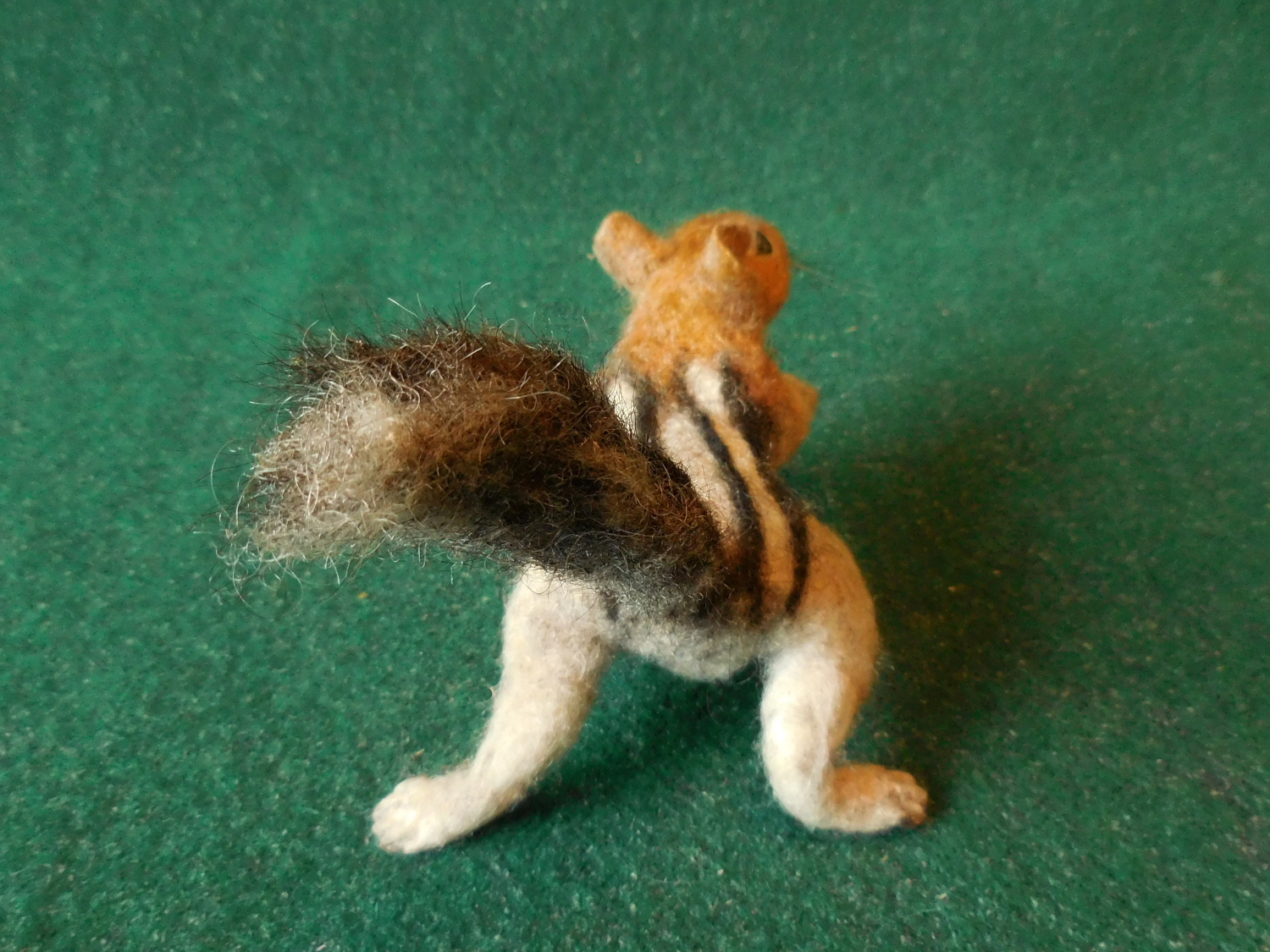 Golden-Mantled Ground Squirrel 5