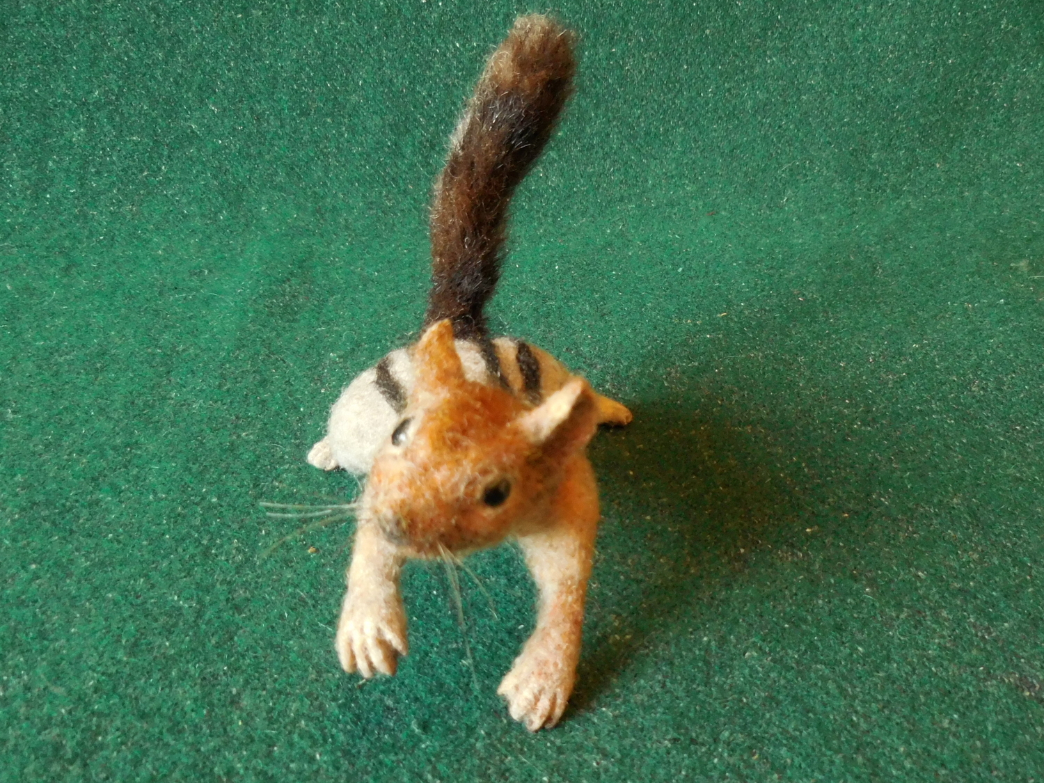 Golden-Mantled Ground Squirrel 5