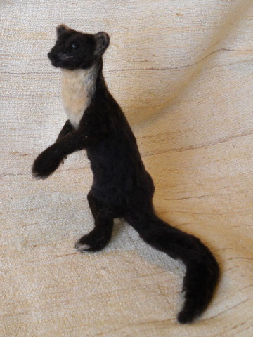 Pine Marten