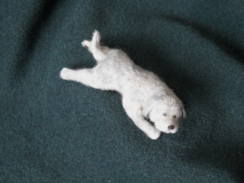 Gray Dog