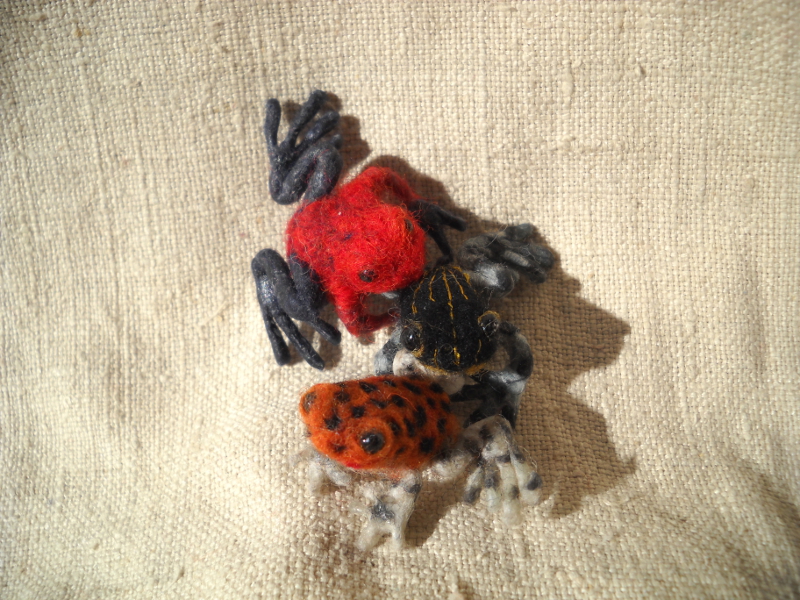 Walkabout Froggies
