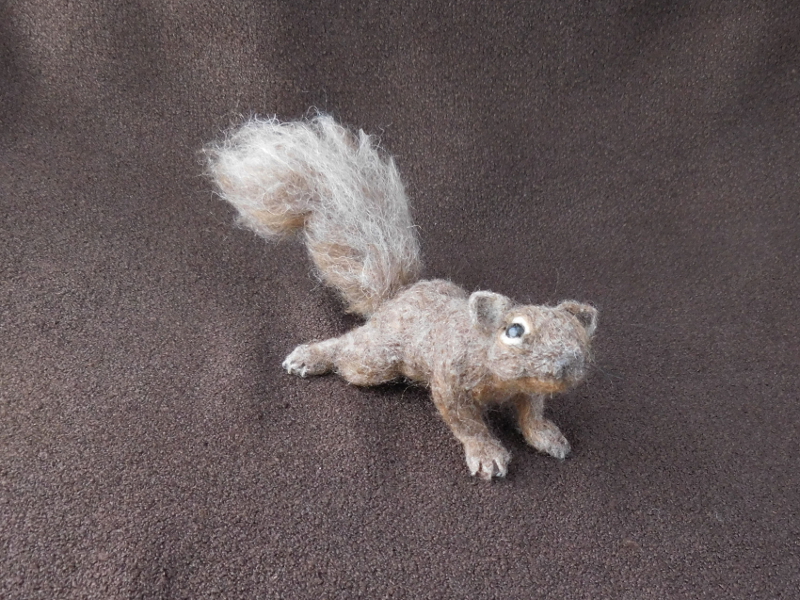 Kempy the Baby Fox Squirrel