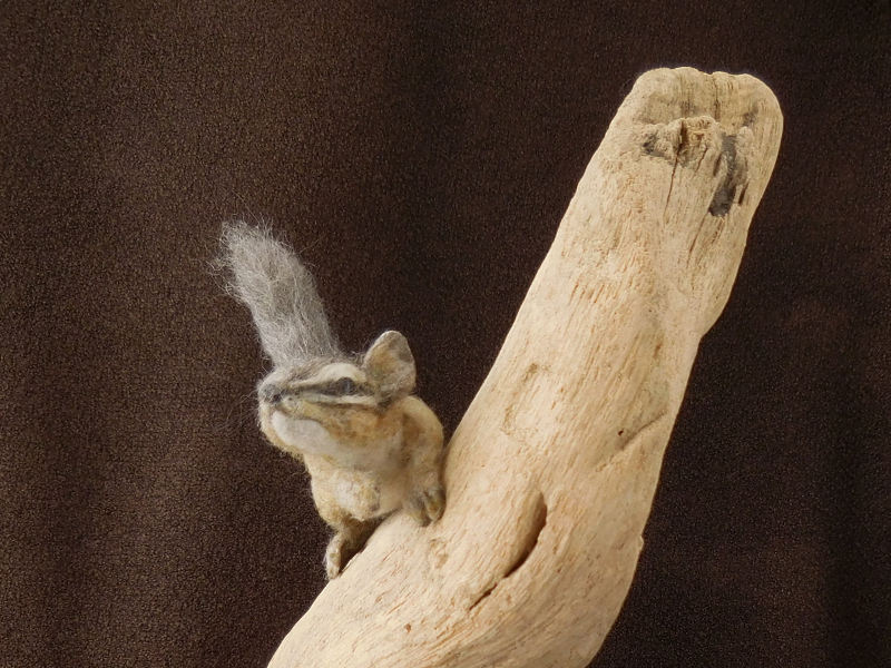 Baby Chipmunk